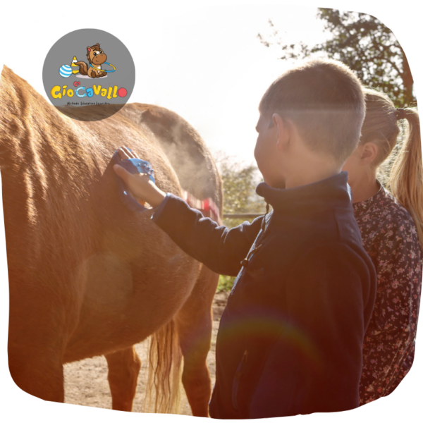 BES e DSA equitazione corso GiocaCavallo